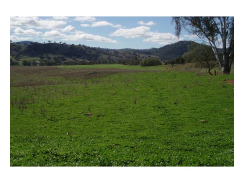 BELMONT, Tamworth NSW 2340