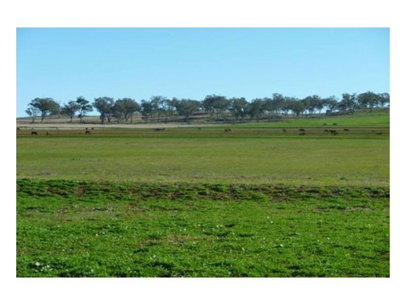 JUANDAH, Tamworth NSW 2340