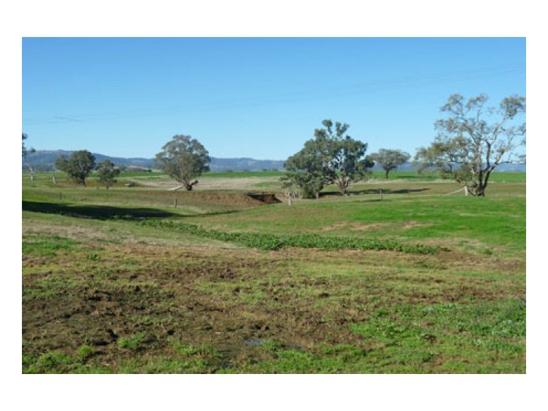 JUANDAH, Tamworth NSW 2340