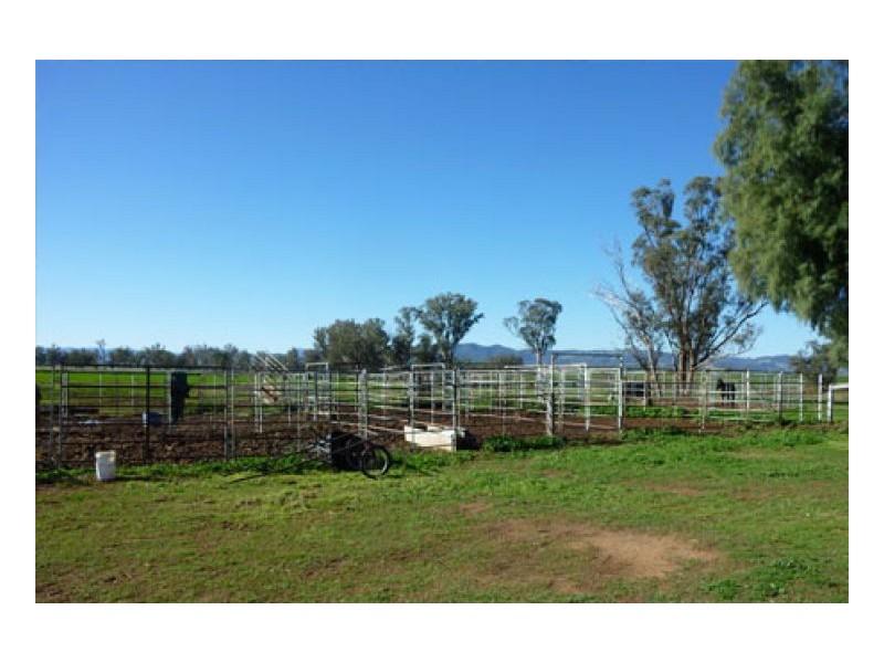 JUANDAH, Tamworth NSW 2340