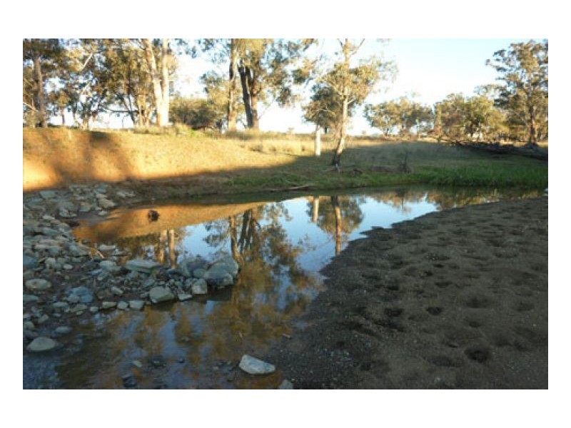 JUANDAH, Tamworth NSW 2340