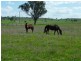 LA TRINIDAD, Tamworth NSW 2340