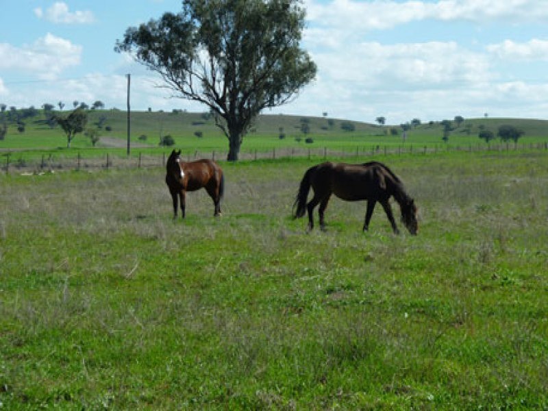 LA TRINIDAD, Tamworth NSW 2340