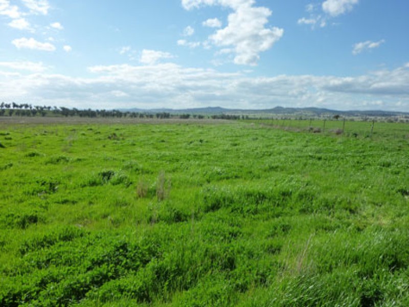 LA TRINIDAD, Tamworth NSW 2340