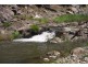 PRESTWICK, Tamworth NSW 2340