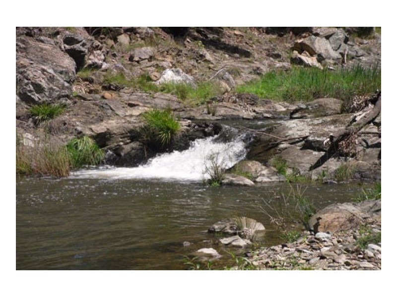 PRESTWICK, Tamworth NSW 2340