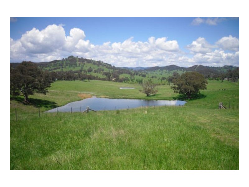PRESTWICK, Tamworth NSW 2340
