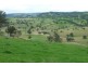 PRESTWICK, Tamworth NSW 2340