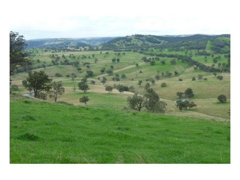 PRESTWICK, Tamworth NSW 2340