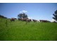 PRESTWICK, Tamworth NSW 2340