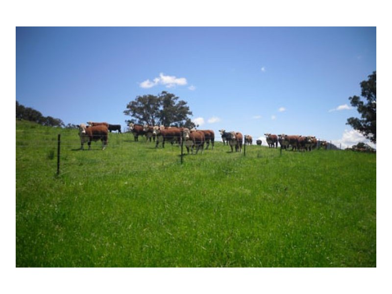 PRESTWICK, Tamworth NSW 2340