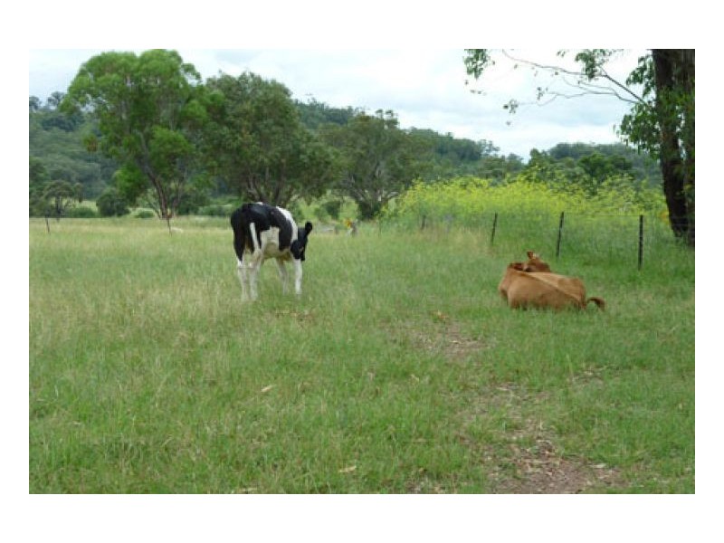 PINE HILL, Tamworth NSW 2340