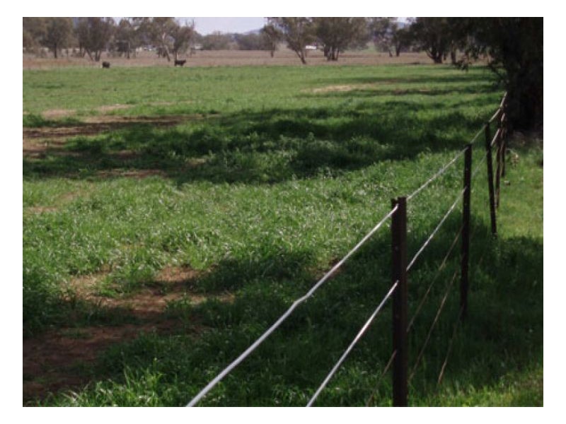 WIRUNA, Tamworth NSW 2340
