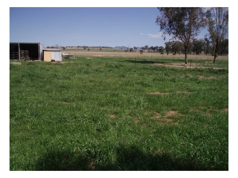 WIRUNA, Tamworth NSW 2340