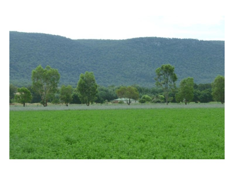 271 LANGENS LANE – Moore Creek, Tamworth NSW 2340