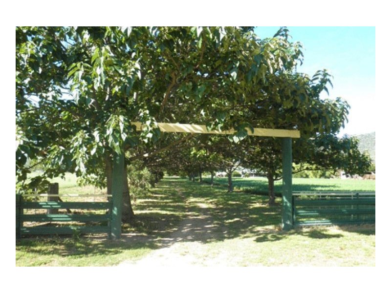 271 LANGENS LANE – Moore Creek, Tamworth NSW 2340