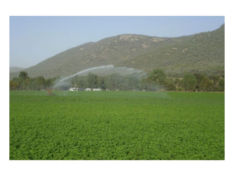 271 LANGENS LANE – Moore Creek, Tamworth NSW 2340