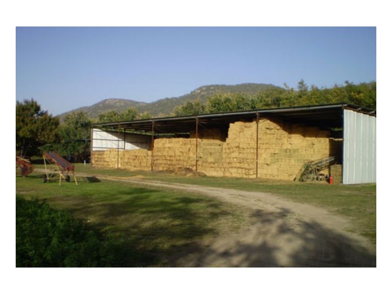 271 LANGENS LANE – Moore Creek, Tamworth NSW 2340