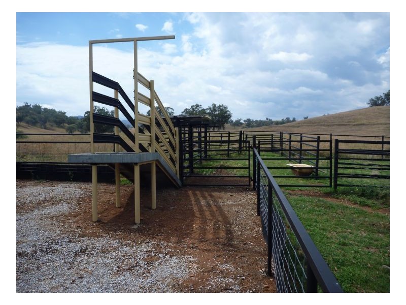 WISEMANS ARM, Tamworth NSW 2340