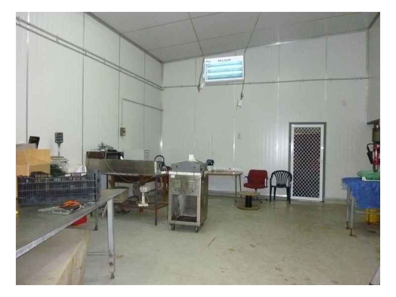 14 BASS STREET, Taminda NSW 2340