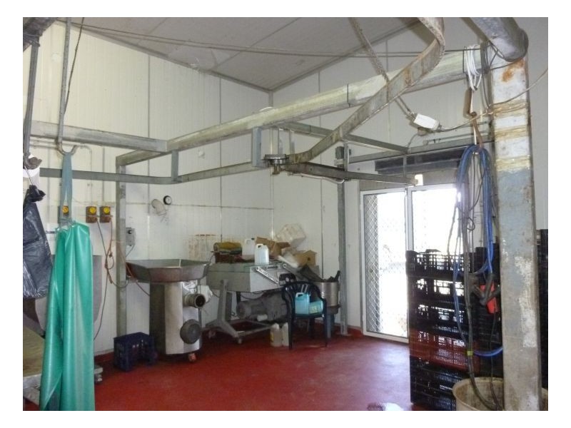 14 BASS STREET, Taminda NSW 2340