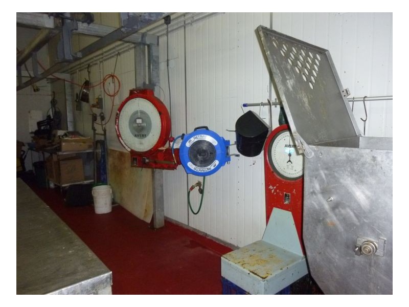 14 BASS STREET, Taminda NSW 2340