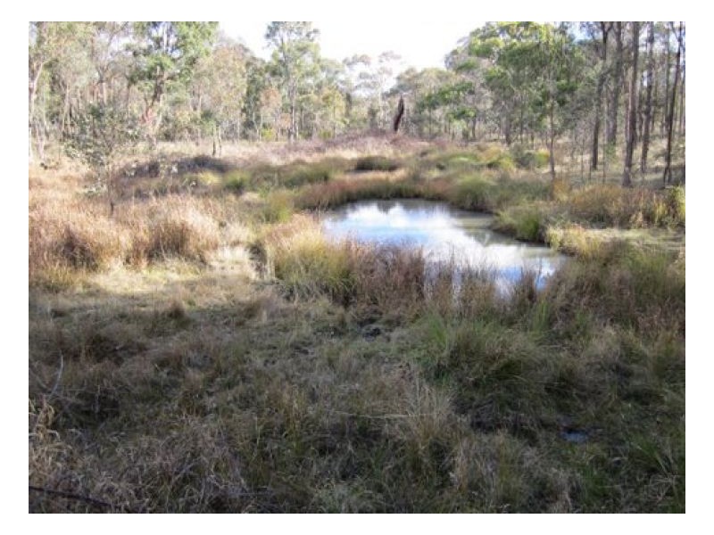 KENT – Watsons Creek, Tamworth NSW 2340