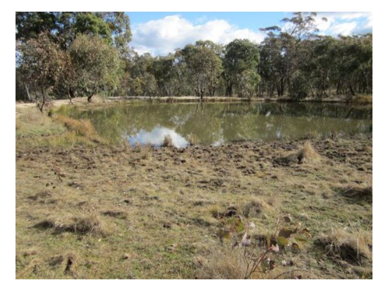 KENT – Watsons Creek, Tamworth NSW 2340