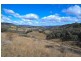 FROGHOLLOW, Woolomin NSW 2340