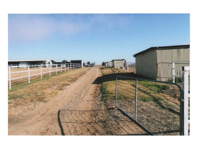 JASON PARK, Goulburn NSW 2580