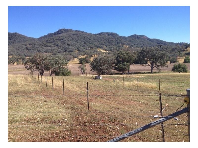 MYALLAWA – Currabubula, Tamworth NSW 2340