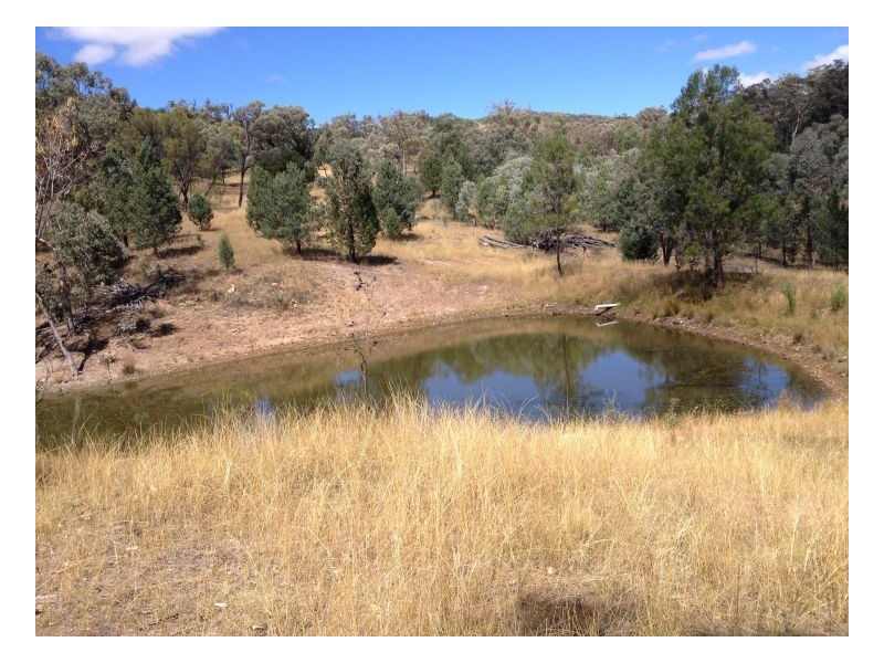 MYALLAWA – Currabubula, Tamworth NSW 2340