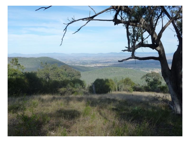 SERENDIPITY – FOSSICKERS PARADISE, Tamworth NSW 2340