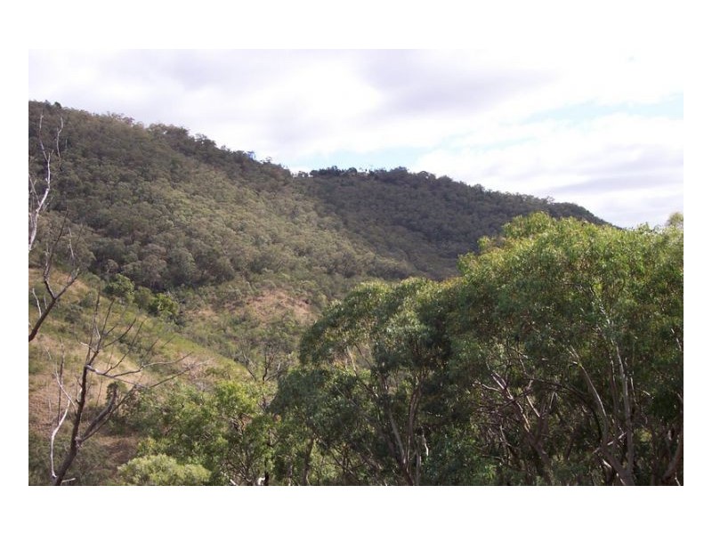 SERENDIPITY – FOSSICKERS PARADISE, Tamworth NSW 2340