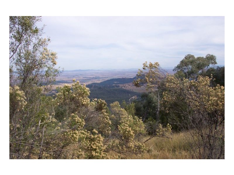 SERENDIPITY – FOSSICKERS PARADISE, Tamworth NSW 2340