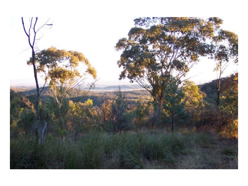 SERENDIPITY – FOSSICKERS PARADISE, Tamworth NSW 2340