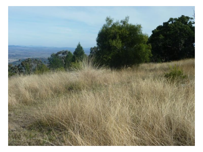 SERENDIPITY – FOSSICKERS PARADISE, Tamworth NSW 2340