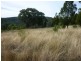 SERENDIPITY – FOSSICKERS PARADISE, Tamworth NSW 2340
