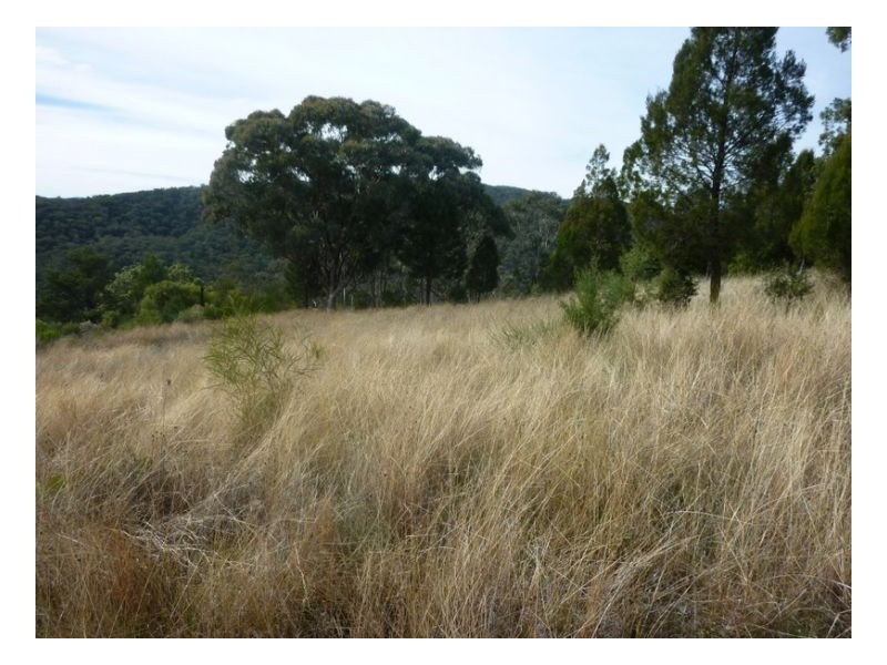 SERENDIPITY – FOSSICKERS PARADISE, Tamworth NSW 2340