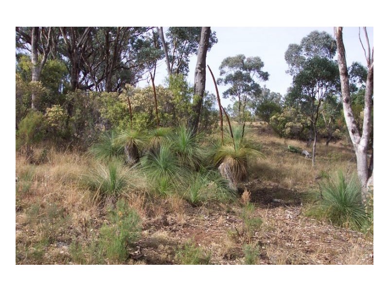 SERENDIPITY – FOSSICKERS PARADISE, Tamworth NSW 2340