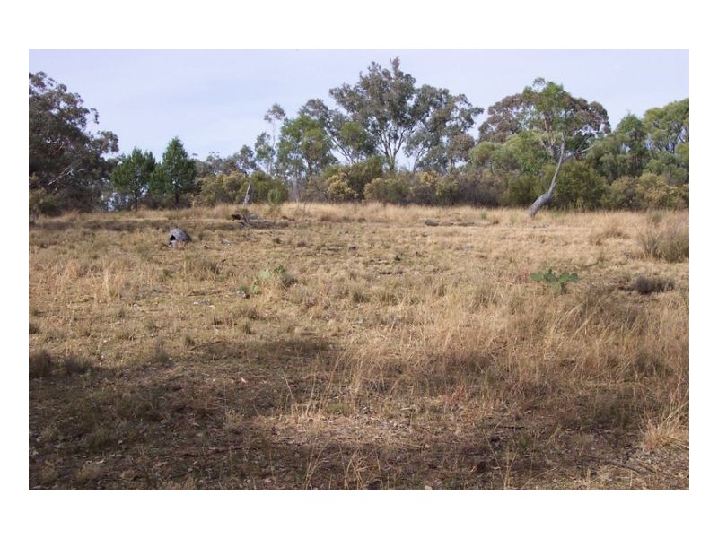 SERENDIPITY – FOSSICKERS PARADISE, Tamworth NSW 2340