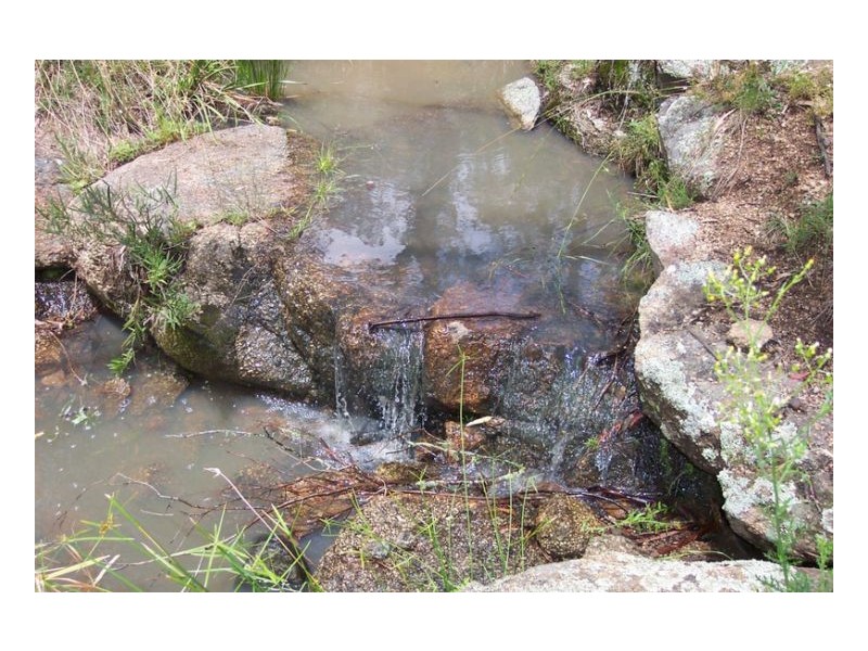 SERENDIPITY – FOSSICKERS PARADISE, Tamworth NSW 2340