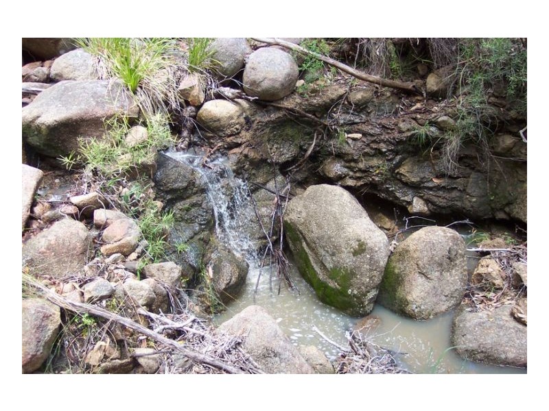 SERENDIPITY – FOSSICKERS PARADISE, Tamworth NSW 2340