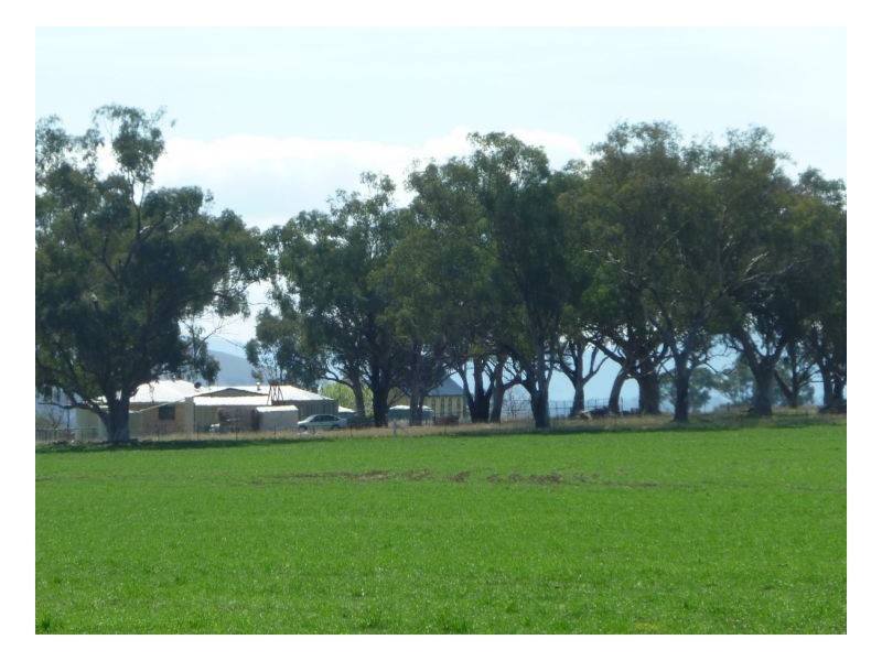 KARRARA-LEA – Gowrie, Tamworth NSW 2340