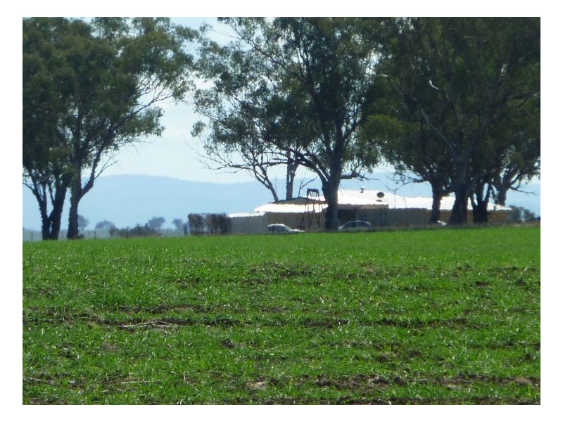 KARRARA-LEA – Gowrie, Tamworth NSW 2340