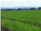 KARRARA-LEA – Gowrie, Tamworth NSW 2340