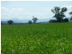 KARRARA-LEA – Gowrie, Tamworth NSW 2340