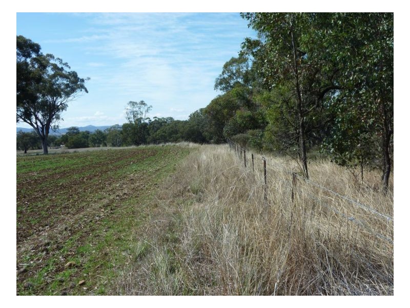 KARRARA-LEA – Gowrie, Tamworth NSW 2340