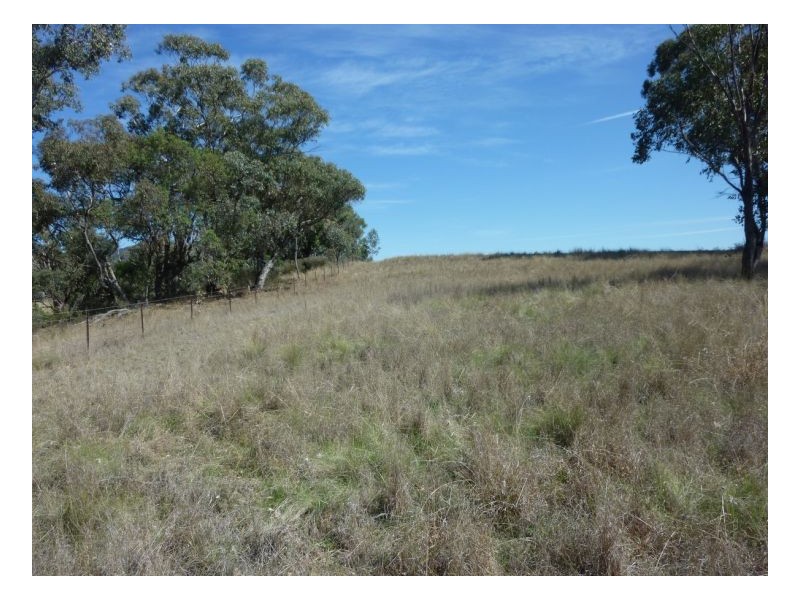 KARRARA-LEA – Gowrie, Tamworth NSW 2340