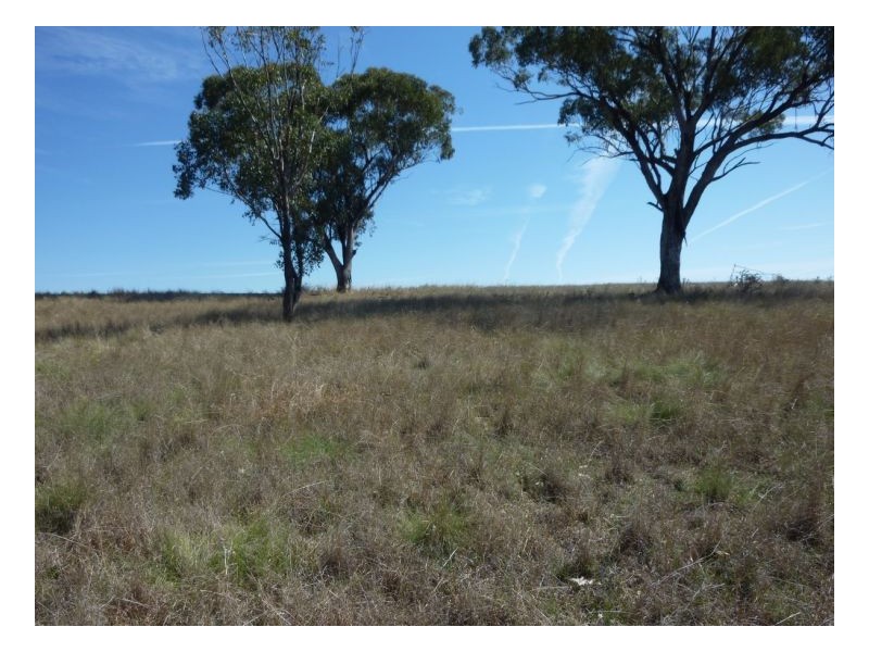 KARRARA-LEA – Gowrie, Tamworth NSW 2340